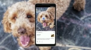 google-lens-dog image